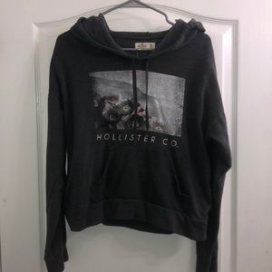 Hollister Hoodie
